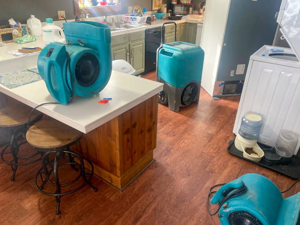 Best 24-hour water damage restoration  in Forks, WA
