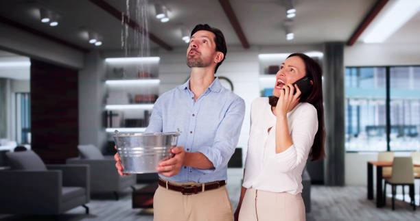 Best Mold removal after water damage  in Forks, WA