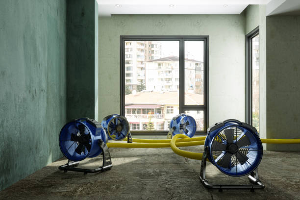 Best Sewage cleanup and water damage restoration  in Forks, WA
